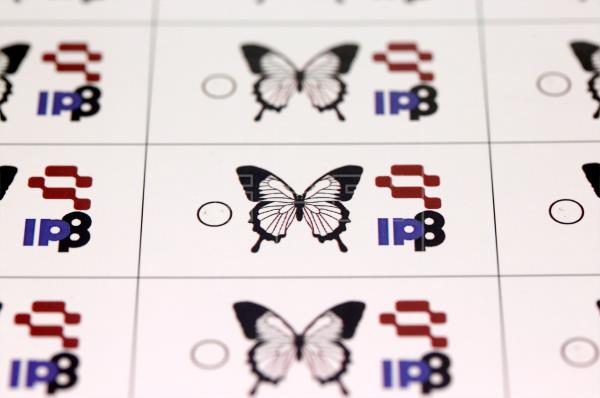 Butterfly wings could hold key to fighting forgery